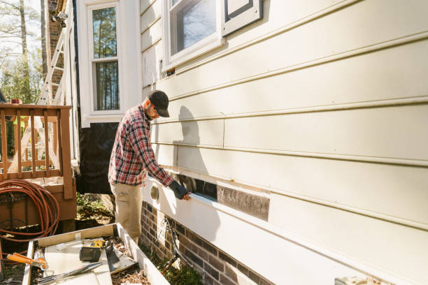 Trusted Siding Repair service in Dundas, MN - Creative Siding